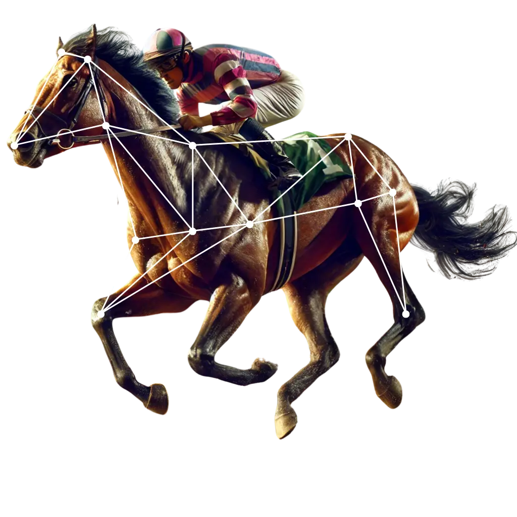 Computer Vision Thoroughbred